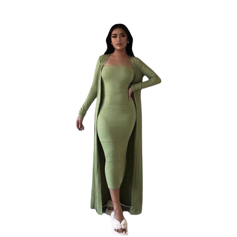 Fitted Dress With Sack Set